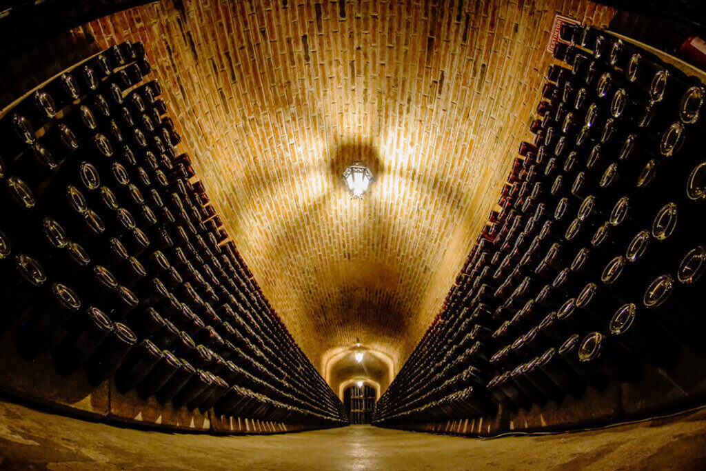 Viñedos Freixenet