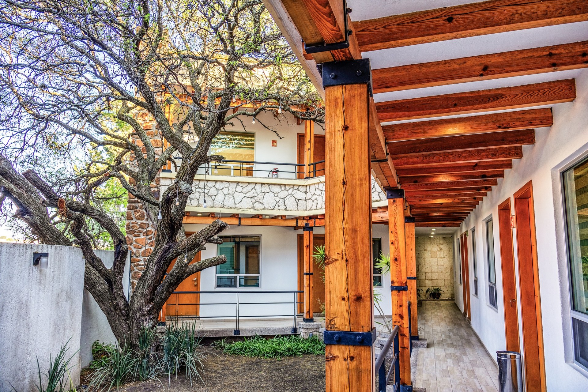 Patio interior con árbol, piedra y madera