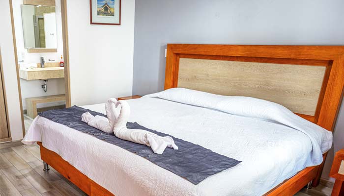 Habitación estándar de 1 cama extra grande