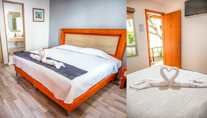 Habitación estándar de 1 cama grande
