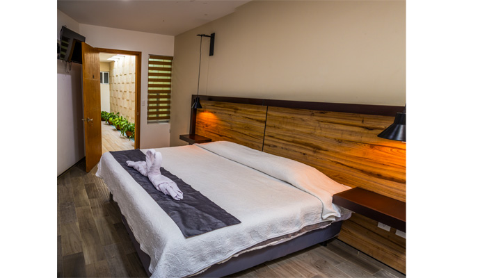 Habitación suite de cama extra grande · vista 3